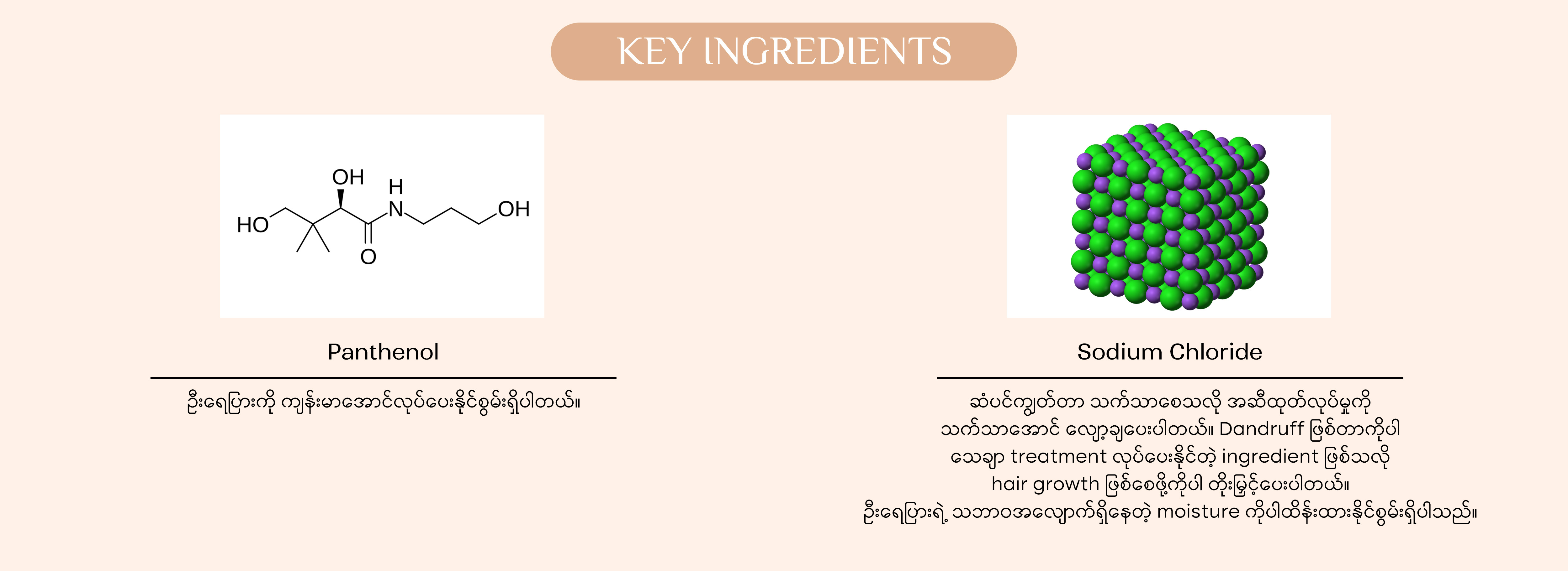 Yoon Skin Anti-Hair Fall & Dandruff 2 in 1 Shampoo 500ml (Exp - 2028.2.17)