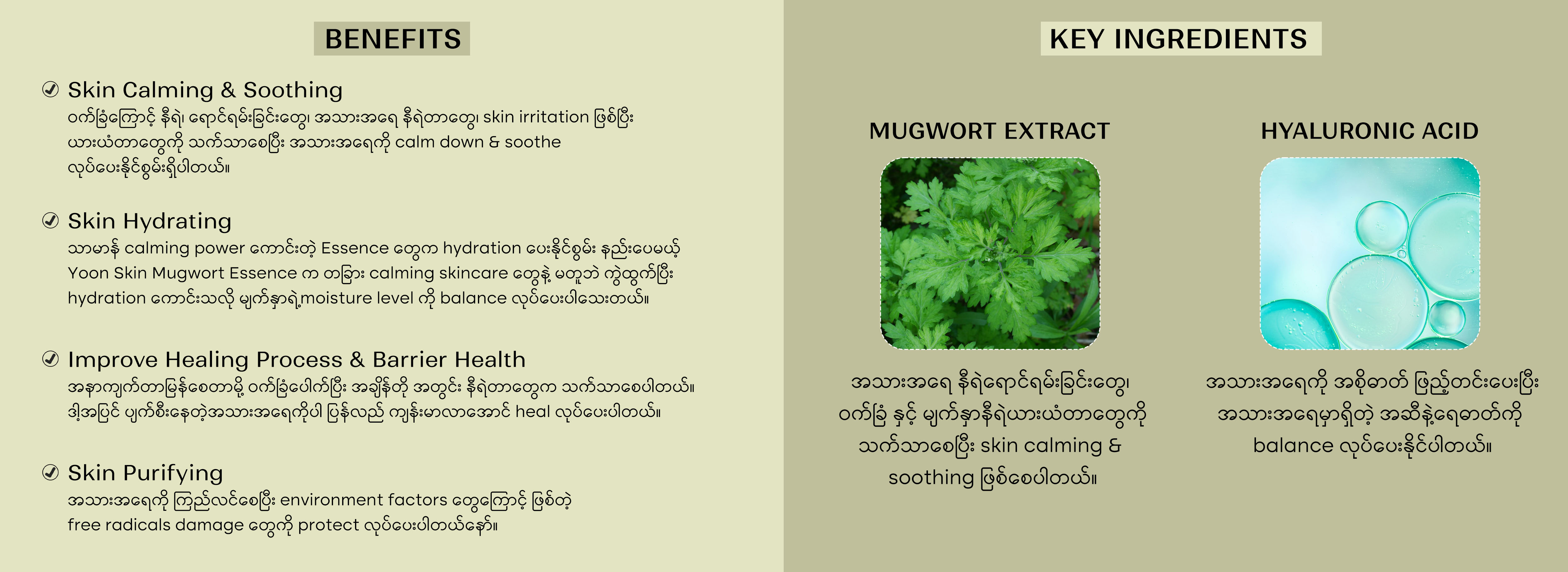 Yoon Skin Mugwort Essence 150ml (Exp-2027.08.15)